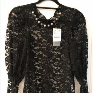 Zara gorgeous lace blouse